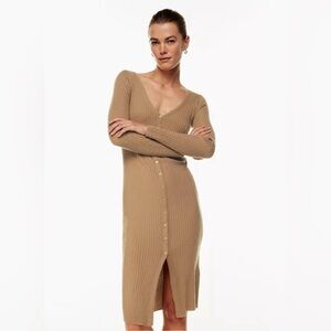 Aritzia Dress